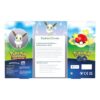 Coffret Premium Pokémon GO Radiant Eevee (Evoli Radieux Anglais) – Image 3
